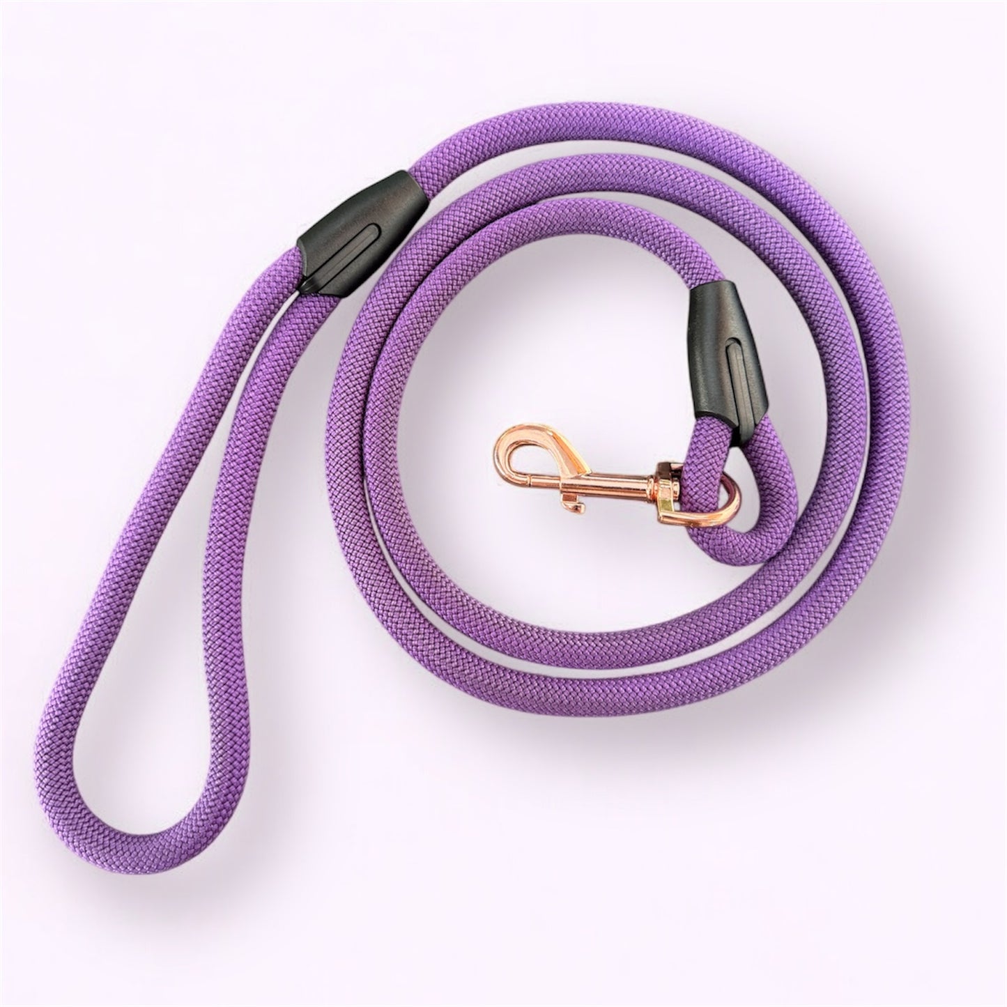 Laisse Purple Grape