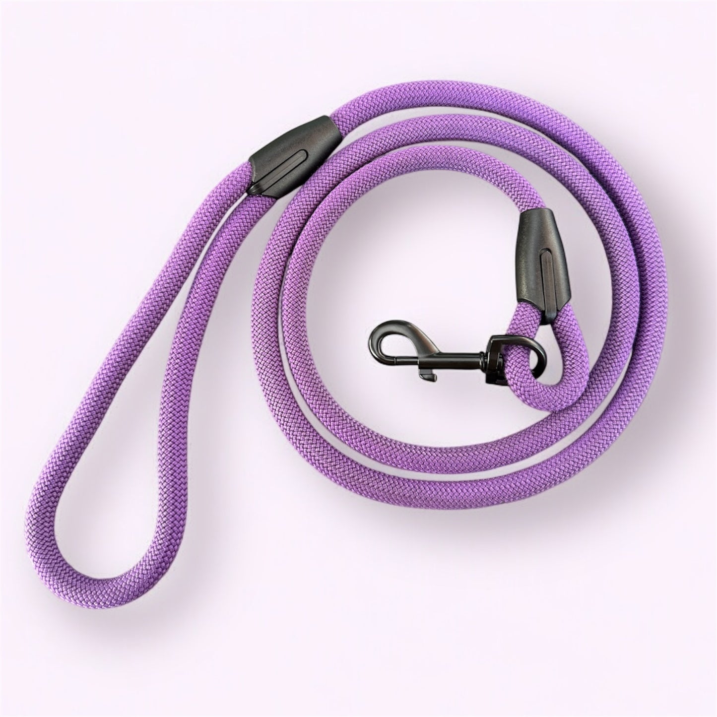 Laisse Purple Grape