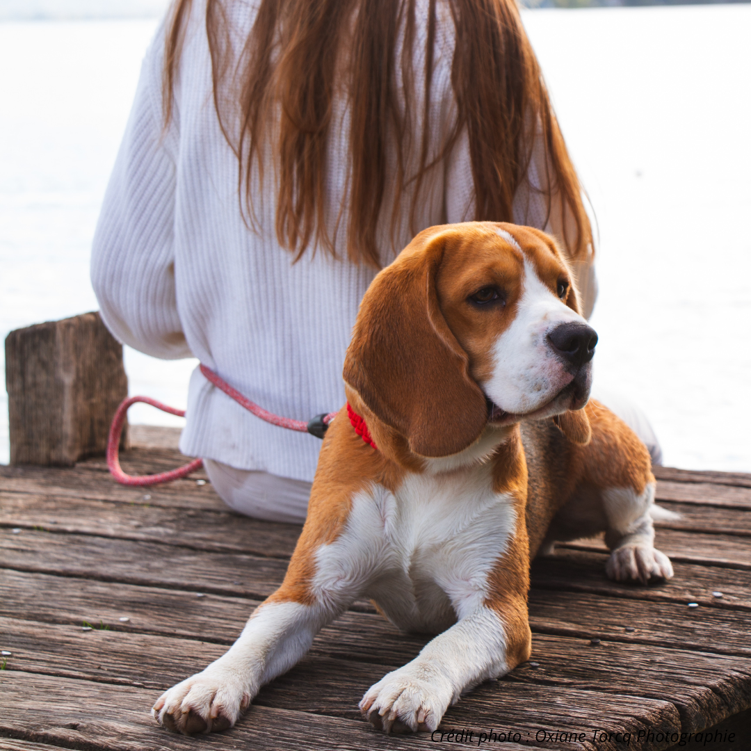 En coulisses du Shooting Photo de notre nouvelle collection au bord du Lac d’Annecy
