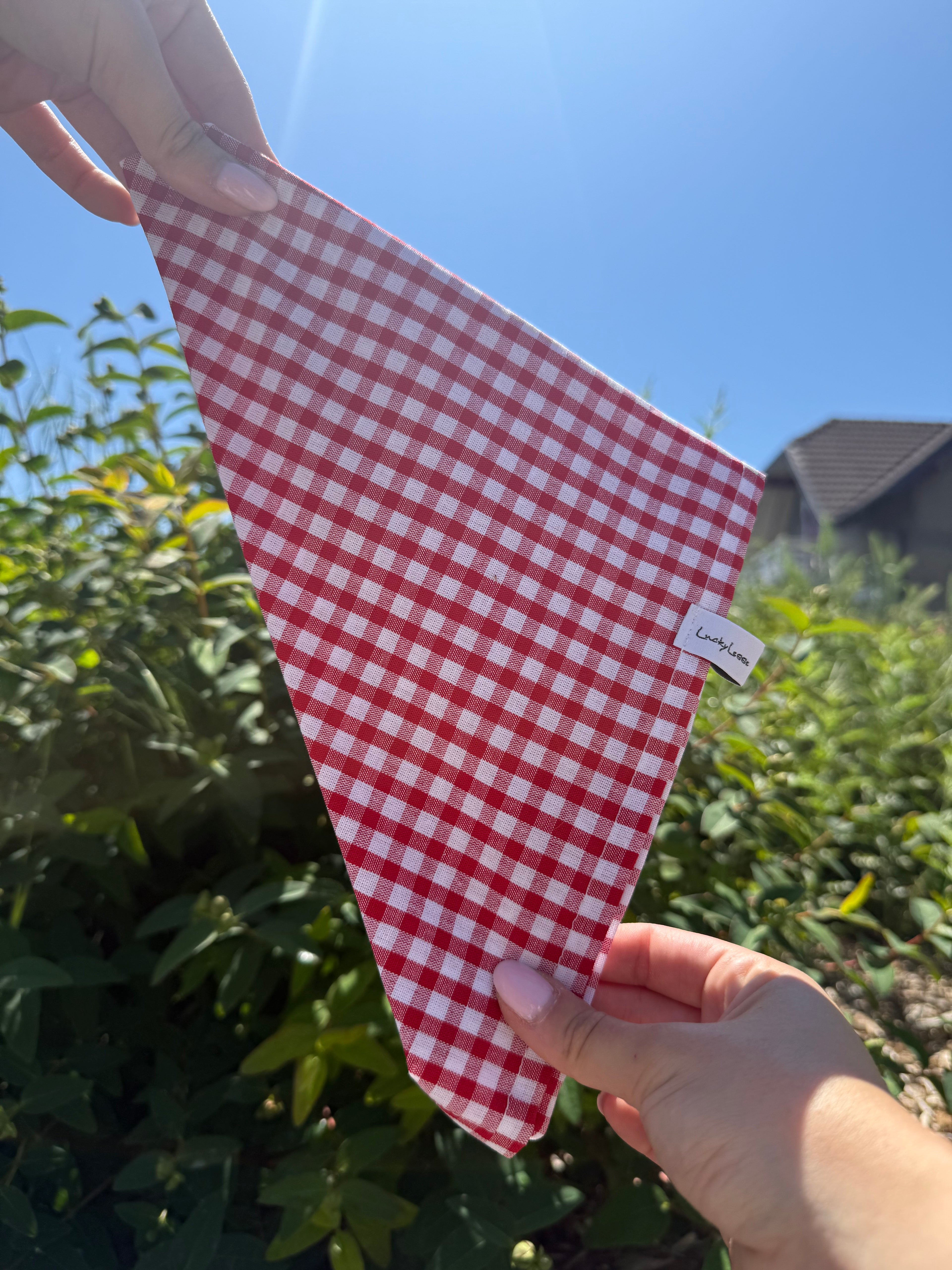 Bandana pour chien LuckyLesse - Vichy rouge 💃