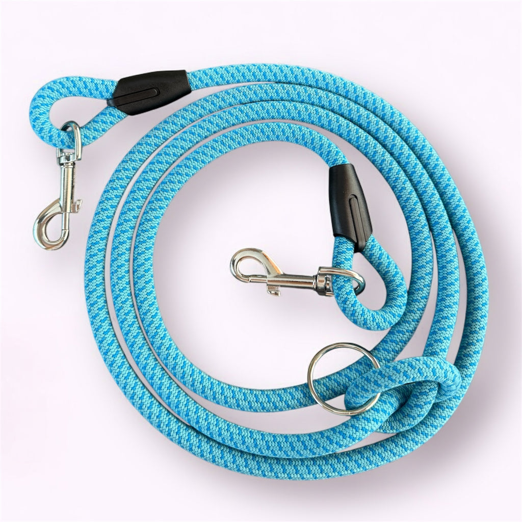 Blueberry Multi-Position Dog Leash