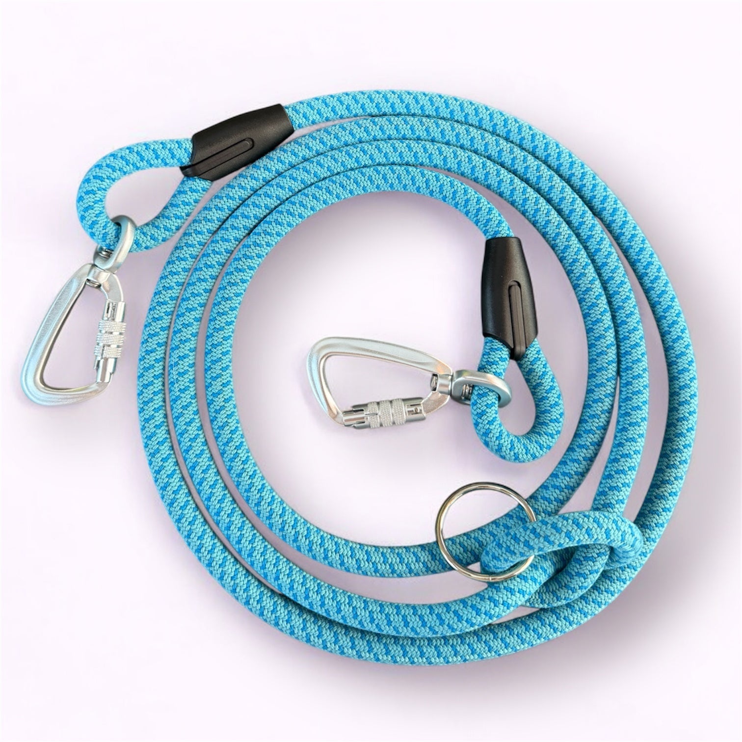 Laisse multipositions pour chien Blueberry LuckyLesse