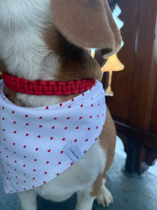 Bandana pour chien - BE MY VALENTINE