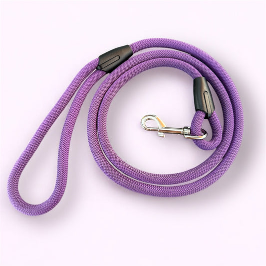 Laisse Purple Grape