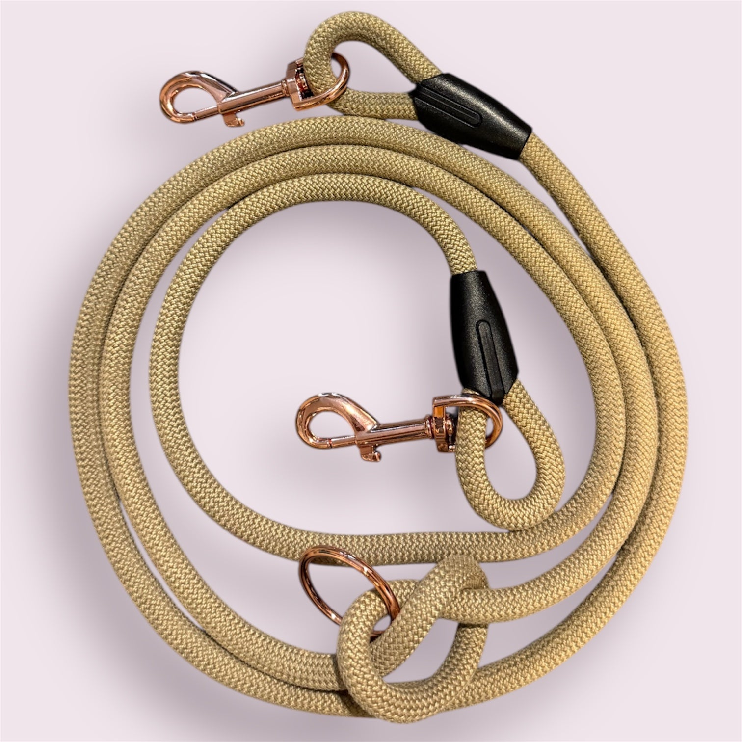 Laisse multipositions pour chien Chaï Latte ☕️ LuckyLesse