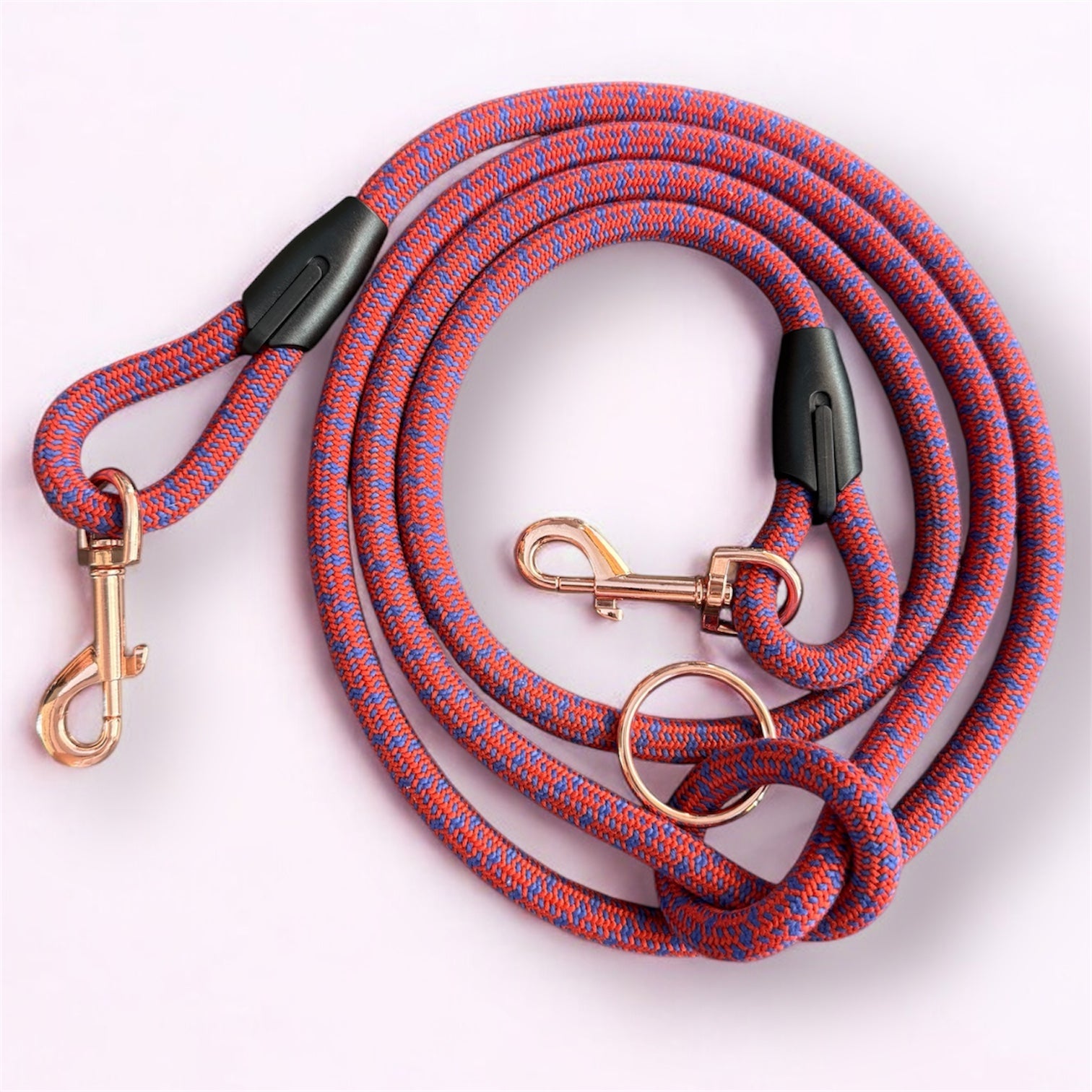 Laisse multipositions pour chien Dragon Fruit LuckyLesse