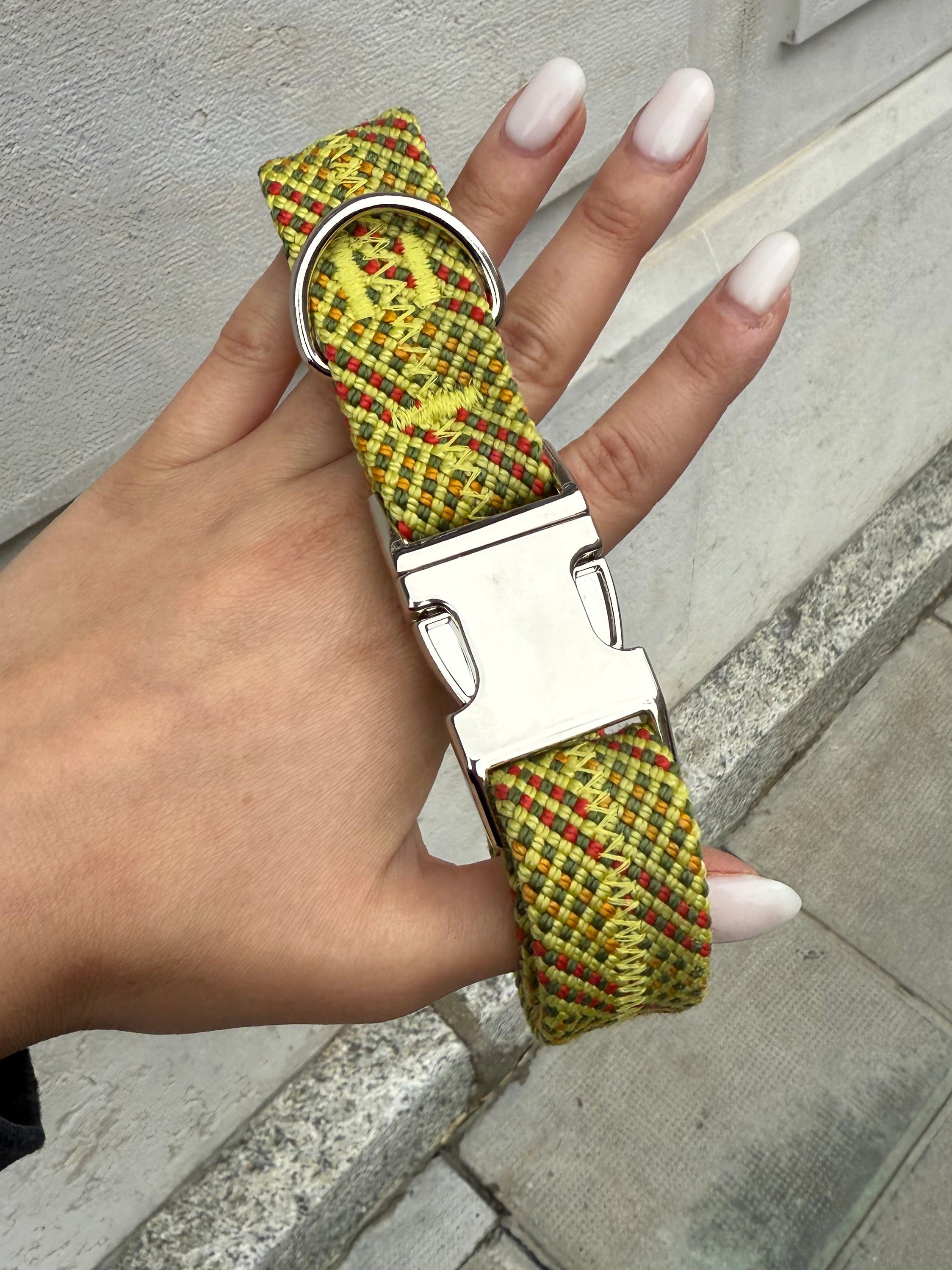 Collier pour chien Citrus 🍋