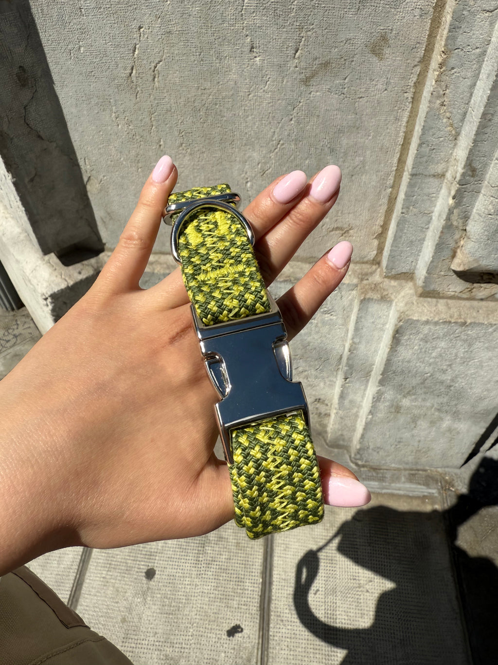 Collier pour chien Palm Walk