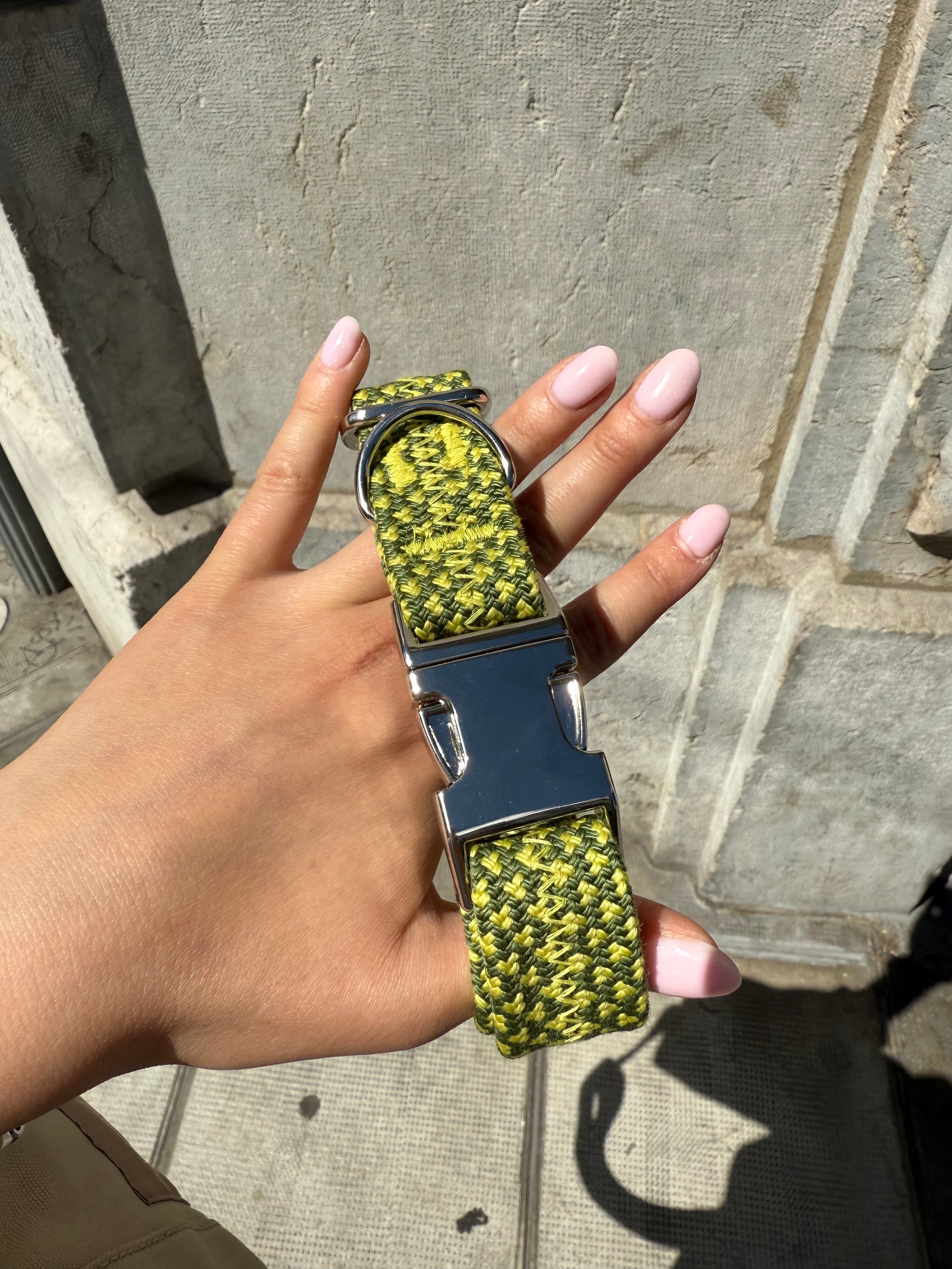 Collier pour chien Palm Walk