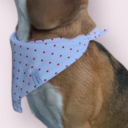 Bandana pour chien - BE MY VALENTINE
