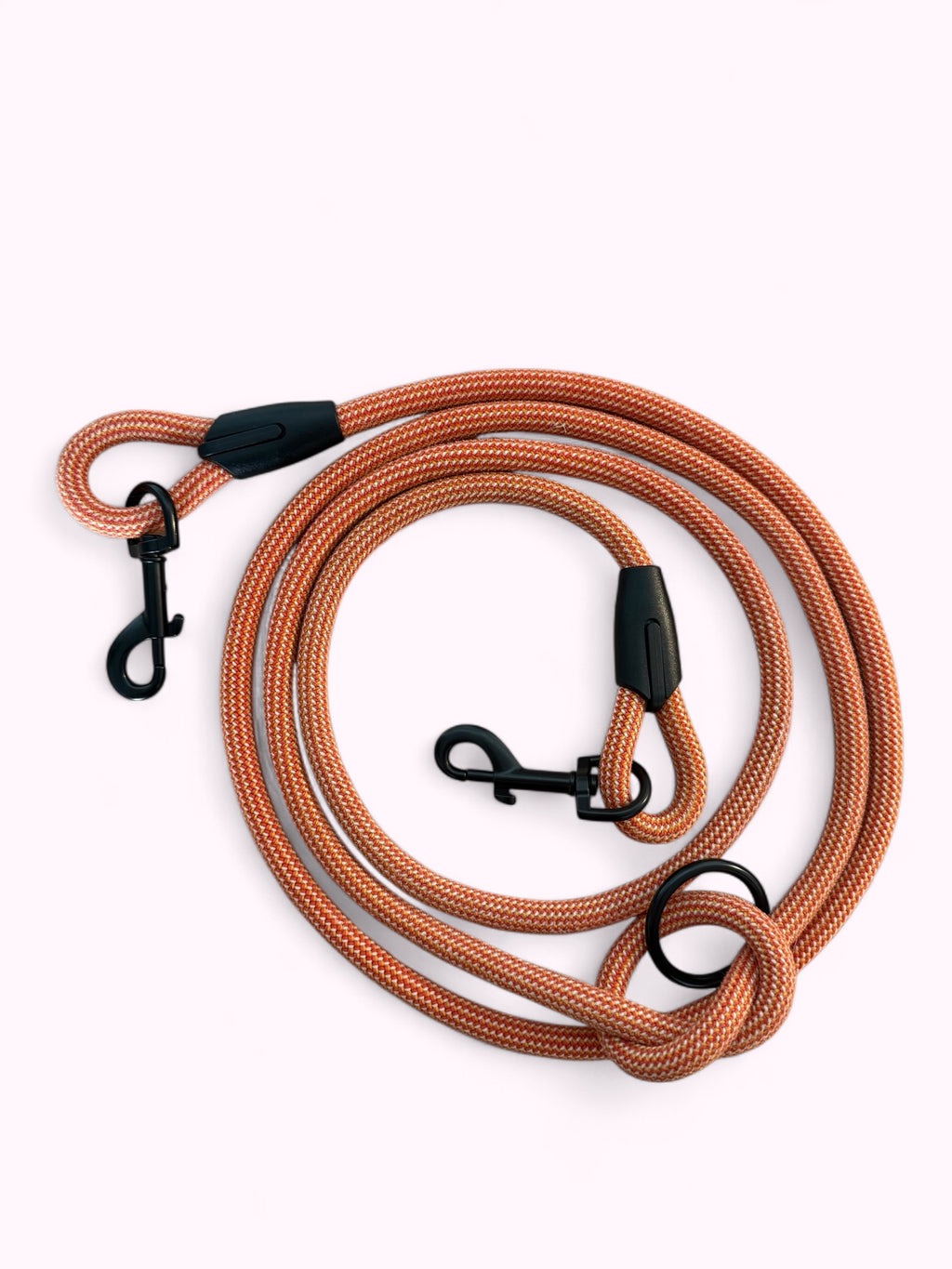 Citrus Multi-Position Dog Leash 🪄