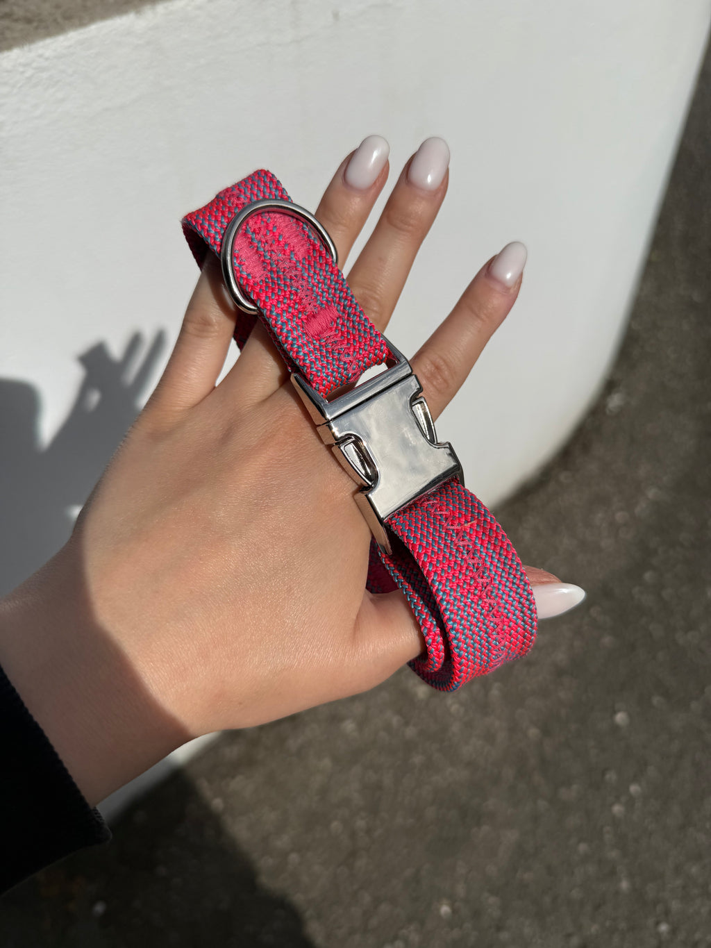 Collier pour chien Litchi 🌸
