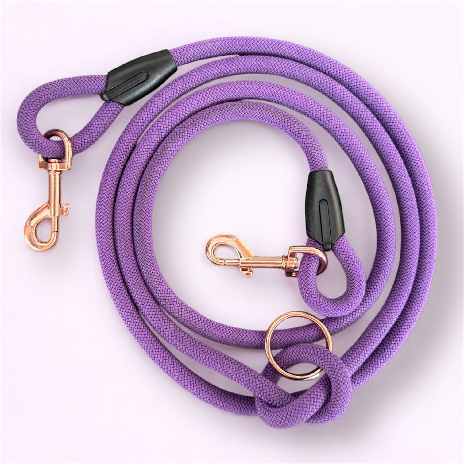 Laisse multipositions pour chien Purple Grap LuckyLesse
