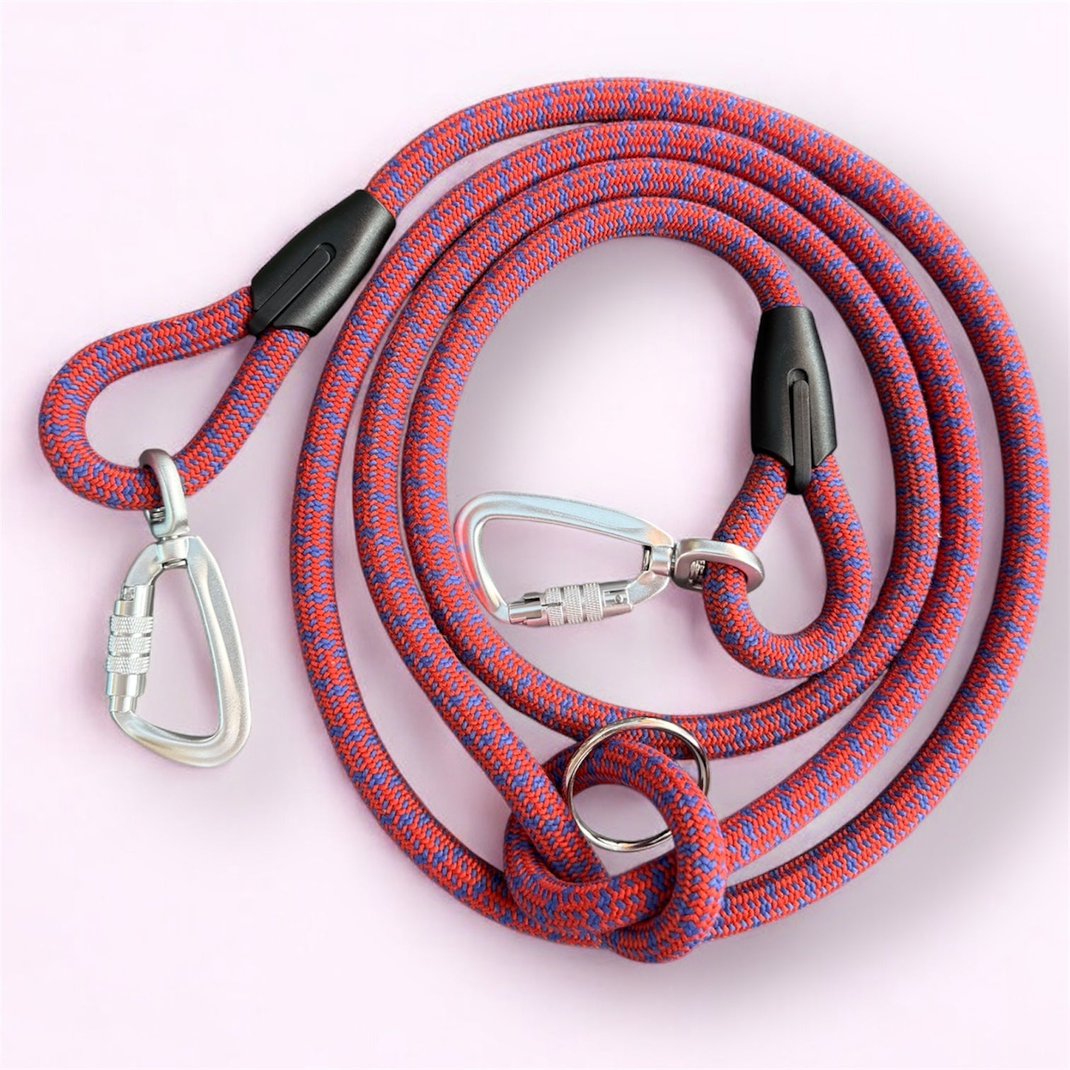 Laisse multipositions pour chien Dragon Fruit LuckyLesse