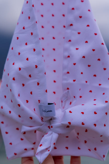 Bandana pour chien - BE MY VALENTINE