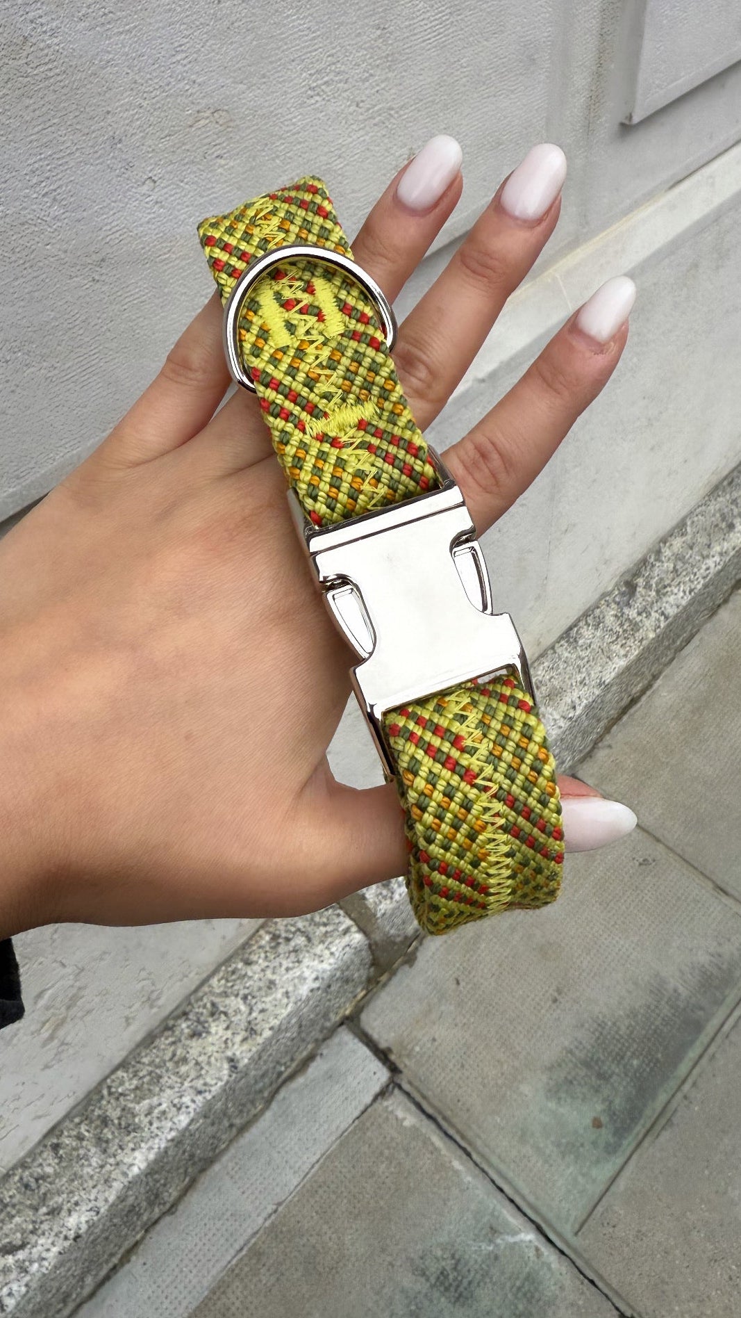 Collier pour chien Citrus 🍋