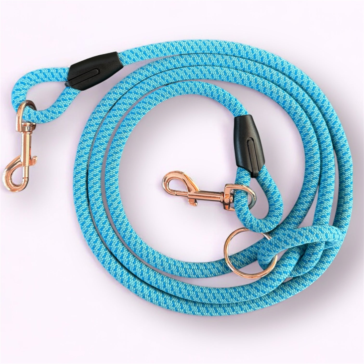 Laisse multipositions pour chien Blueberry LuckyLesse