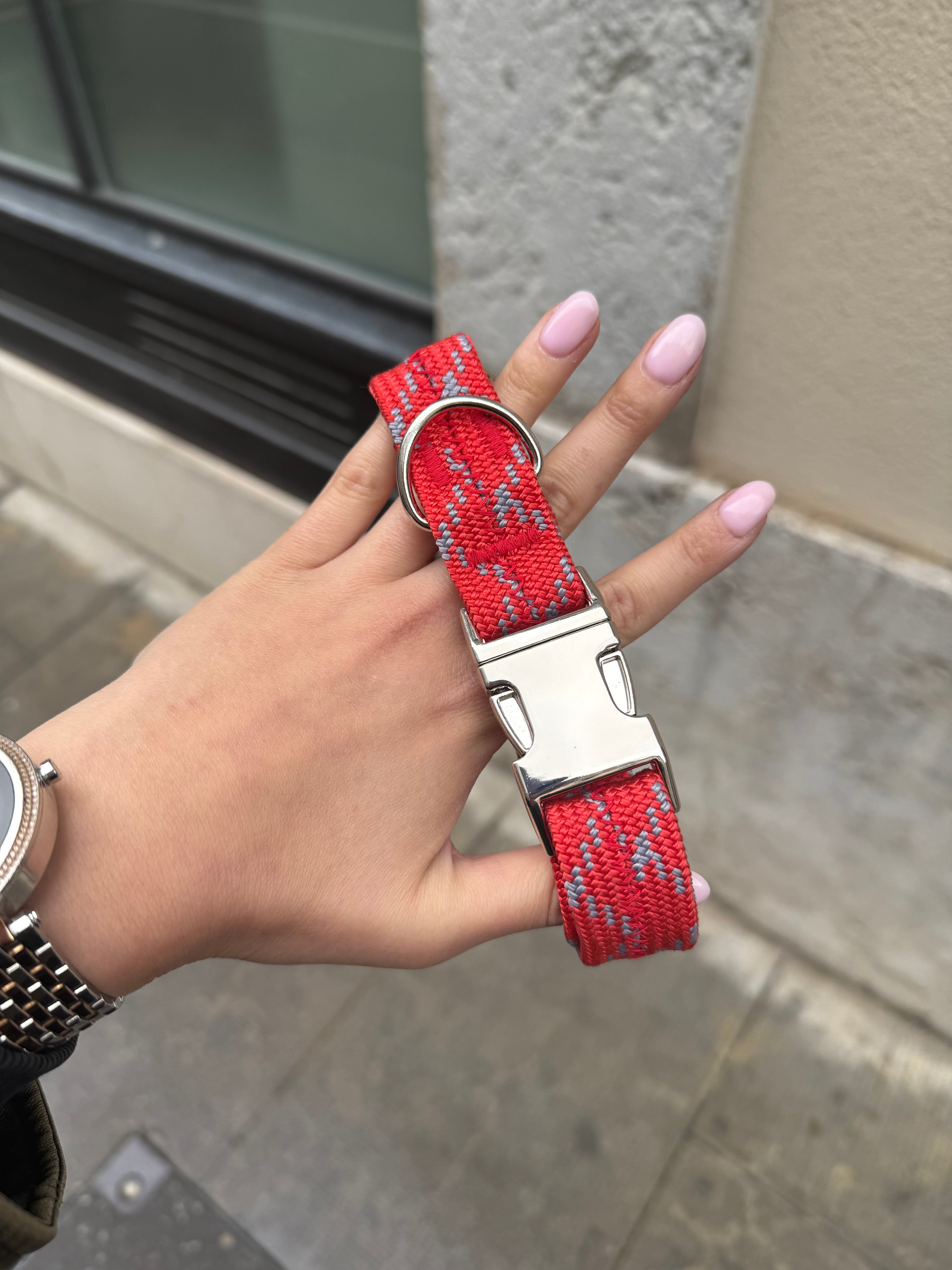 Collier pour chien Sunny Red