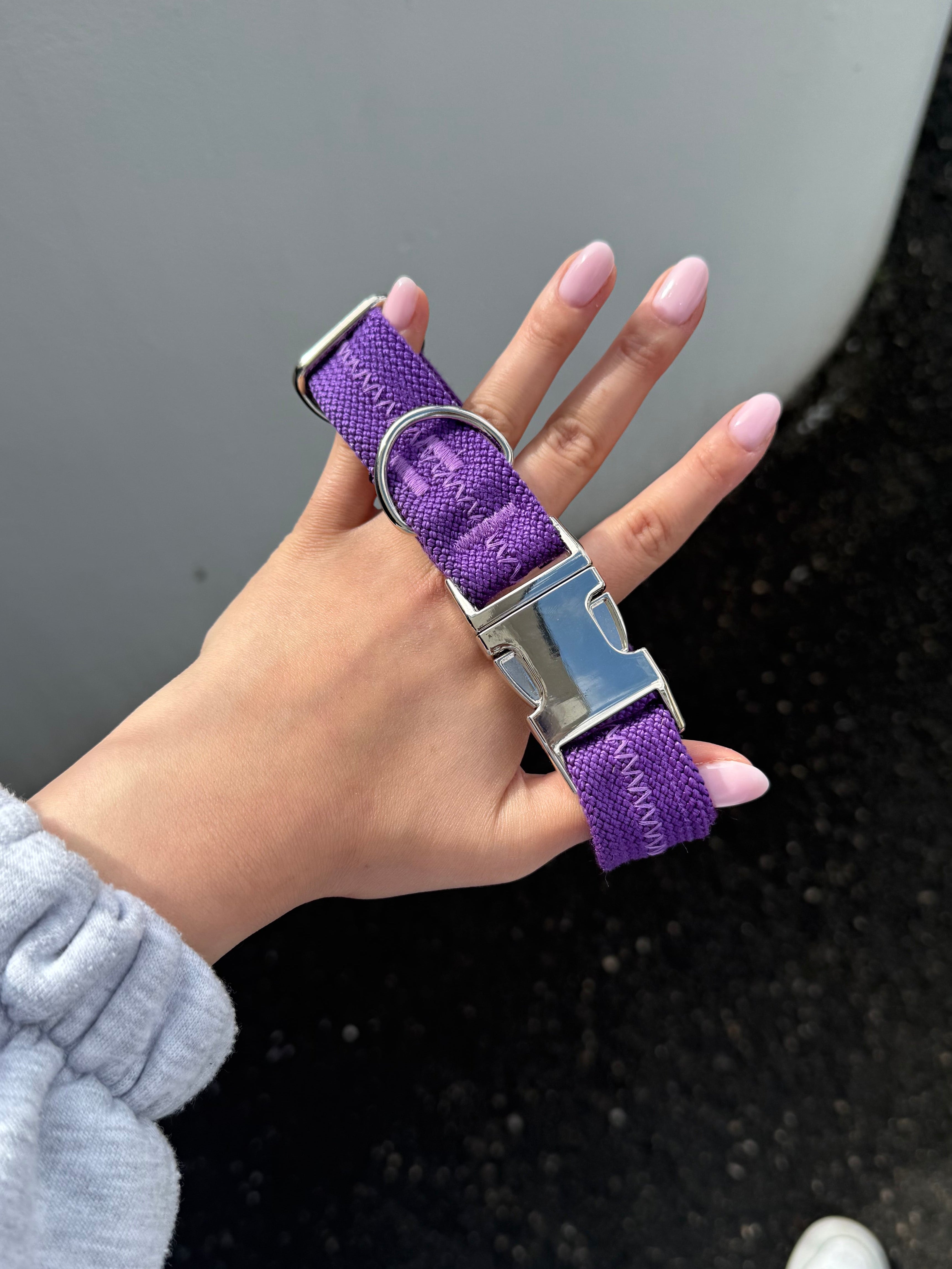 Collier pour chien Purple Grap 💜