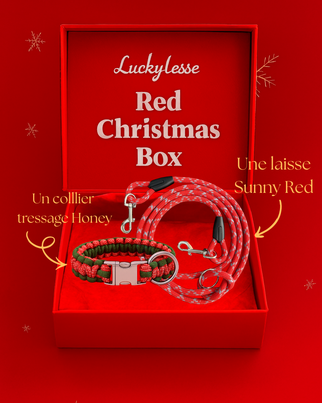Christmas Box Red pour chien LuckyLesse - Laisse et colliers pour chien