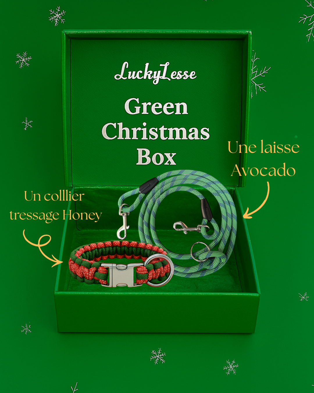 Christmas Box Green pour chien LuckyLesse - Laisse et colliers pour chien