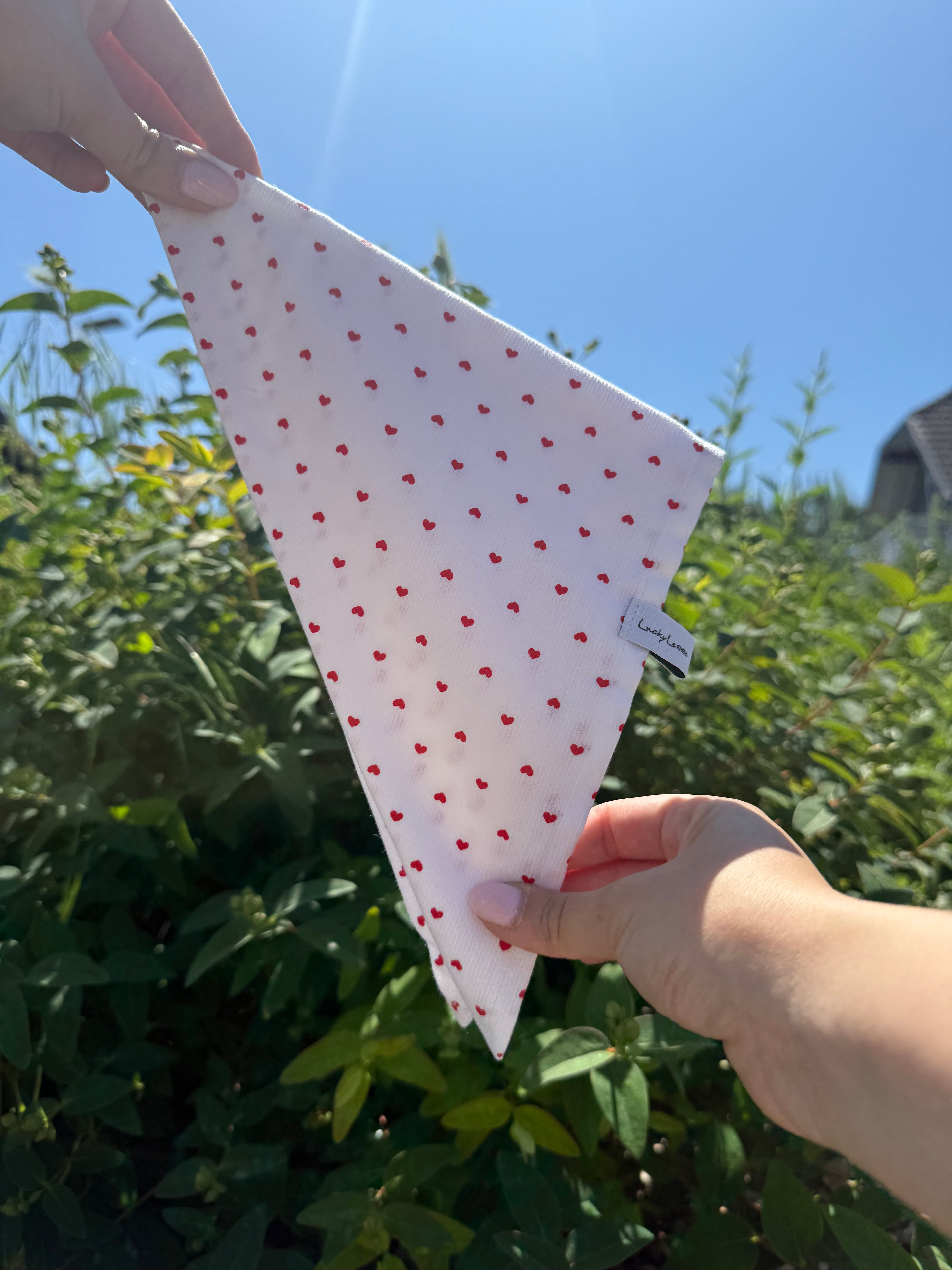 Bandana pour chien LuckyLesse - Cœur rouge ❤️