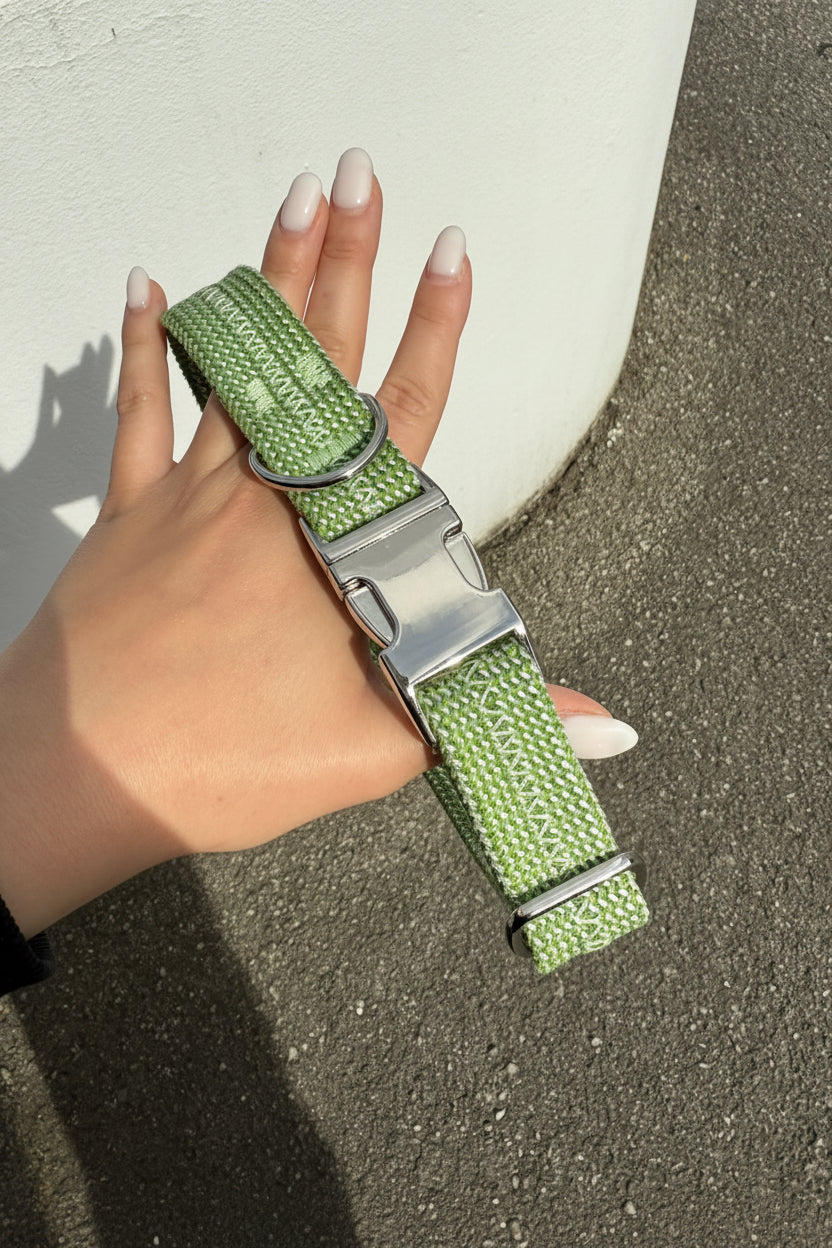 Collier pour chien Matcha 🍵