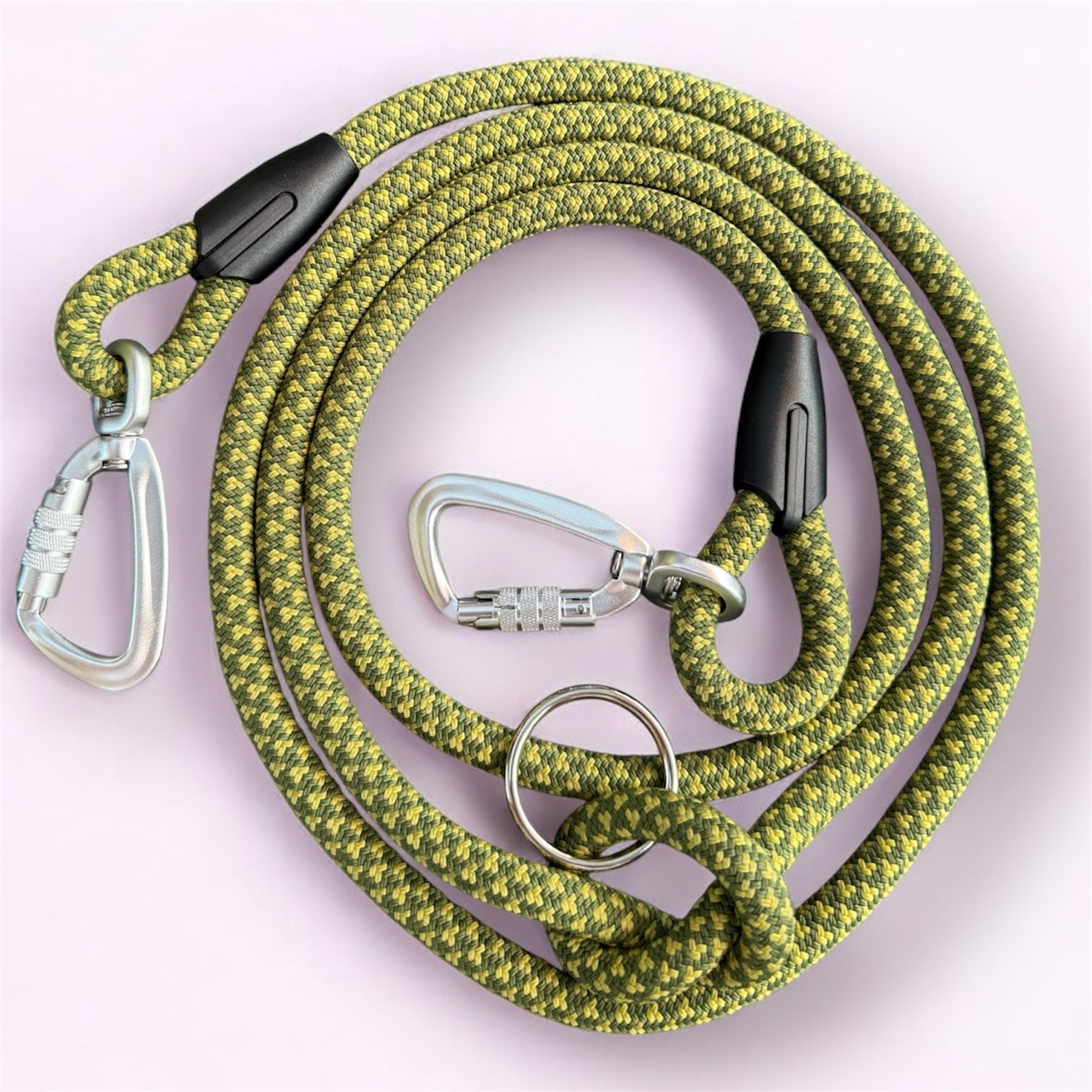 Laisse multipositions pour chien Palm Walk LuckyLesse