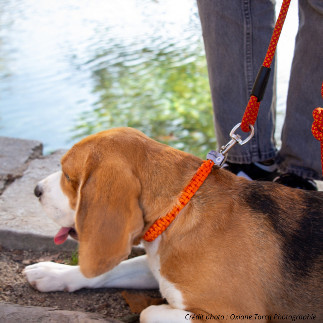 GLÜCKLICHE GEFLOCHTENE Halsketten
