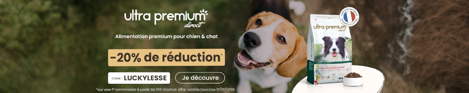 Chien Ultrapremium