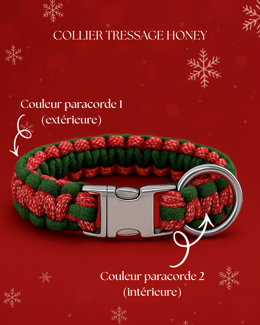 Christmas Box Green pour chien LuckyLesse - Laisse et colliers pour chien