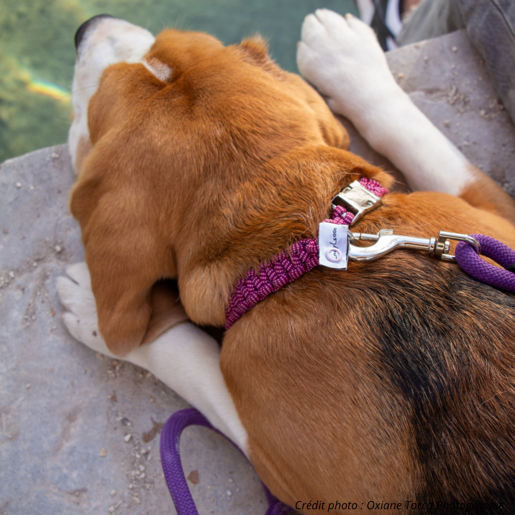 GLÜCKLICHE GEFLOCHTENE Halsketten