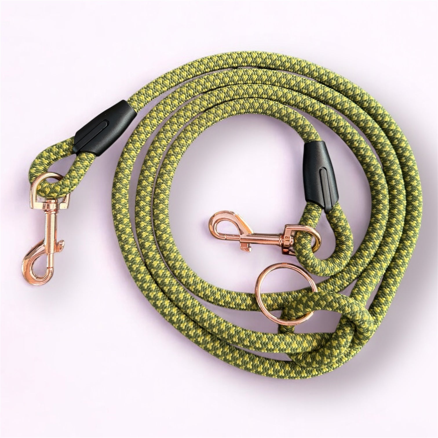 Laisse multipositions pour chien Palm Walk LuckyLesse