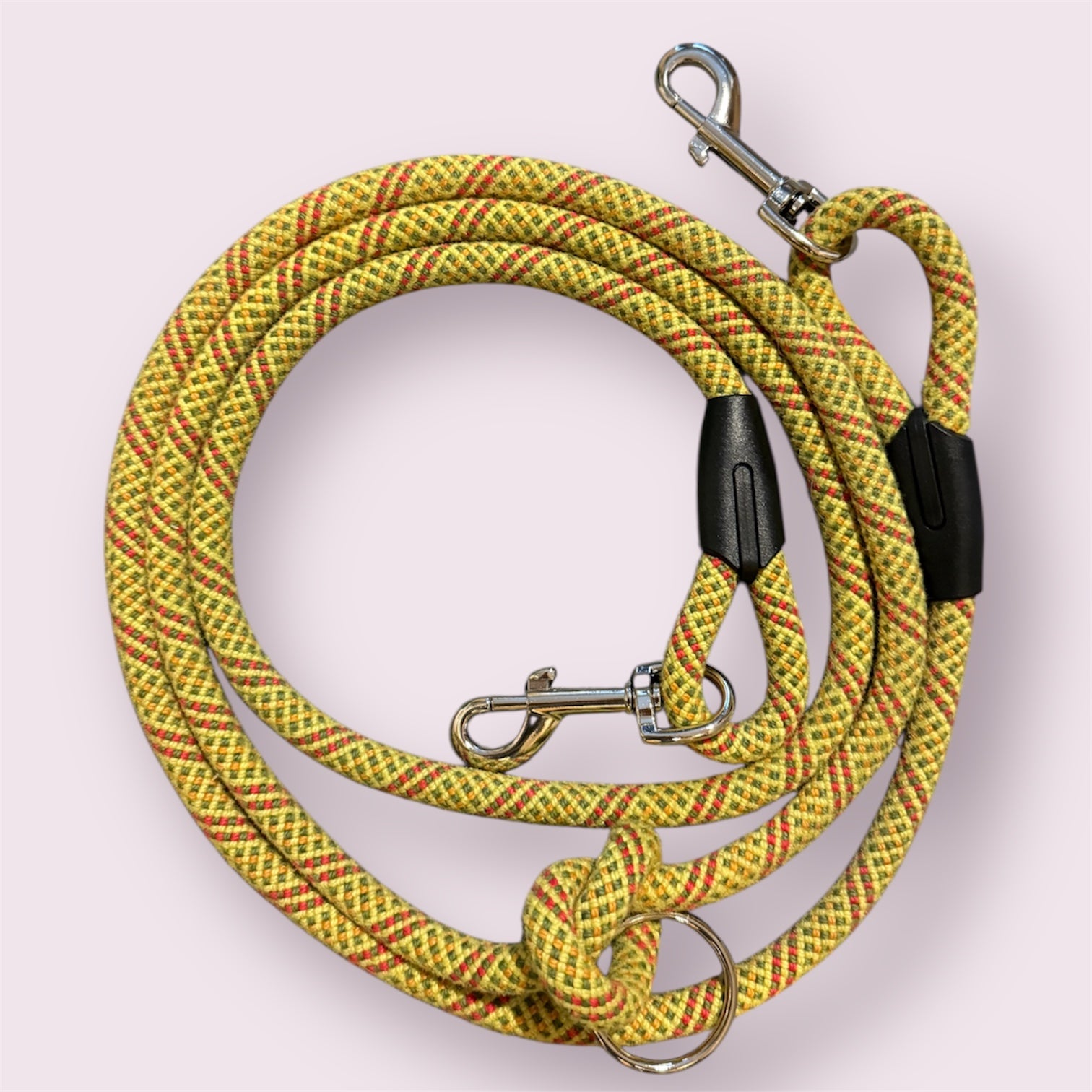 Laisse multipositions pour chien Citrus 🪄 LuckyLesse