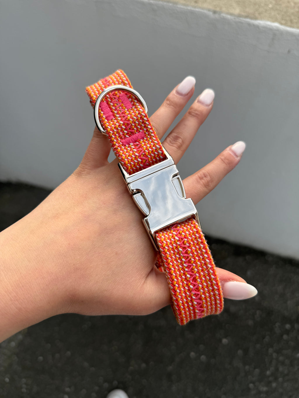 Collier pour chien Peach 🍑