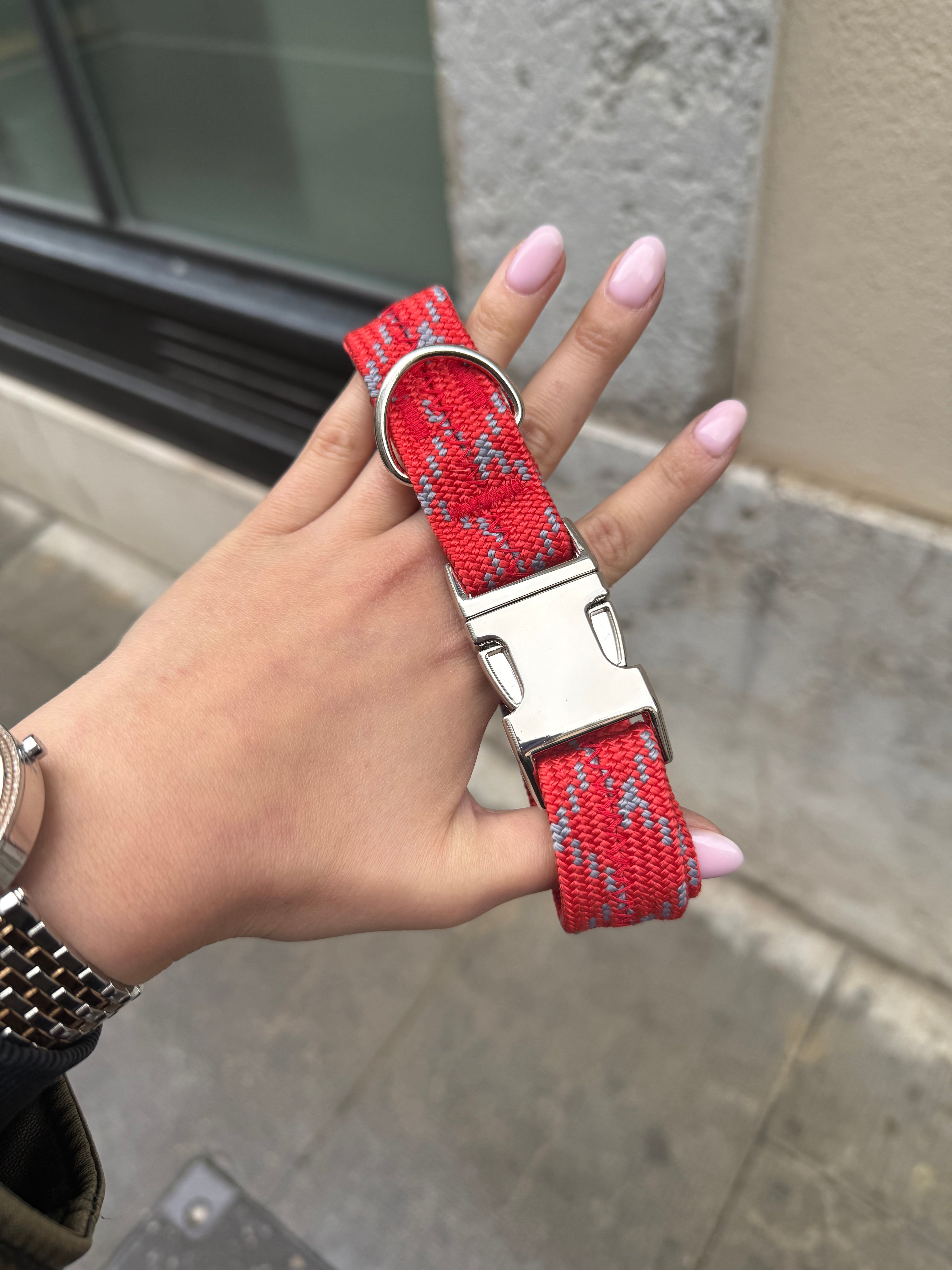 Collier pour chien Sunny Red