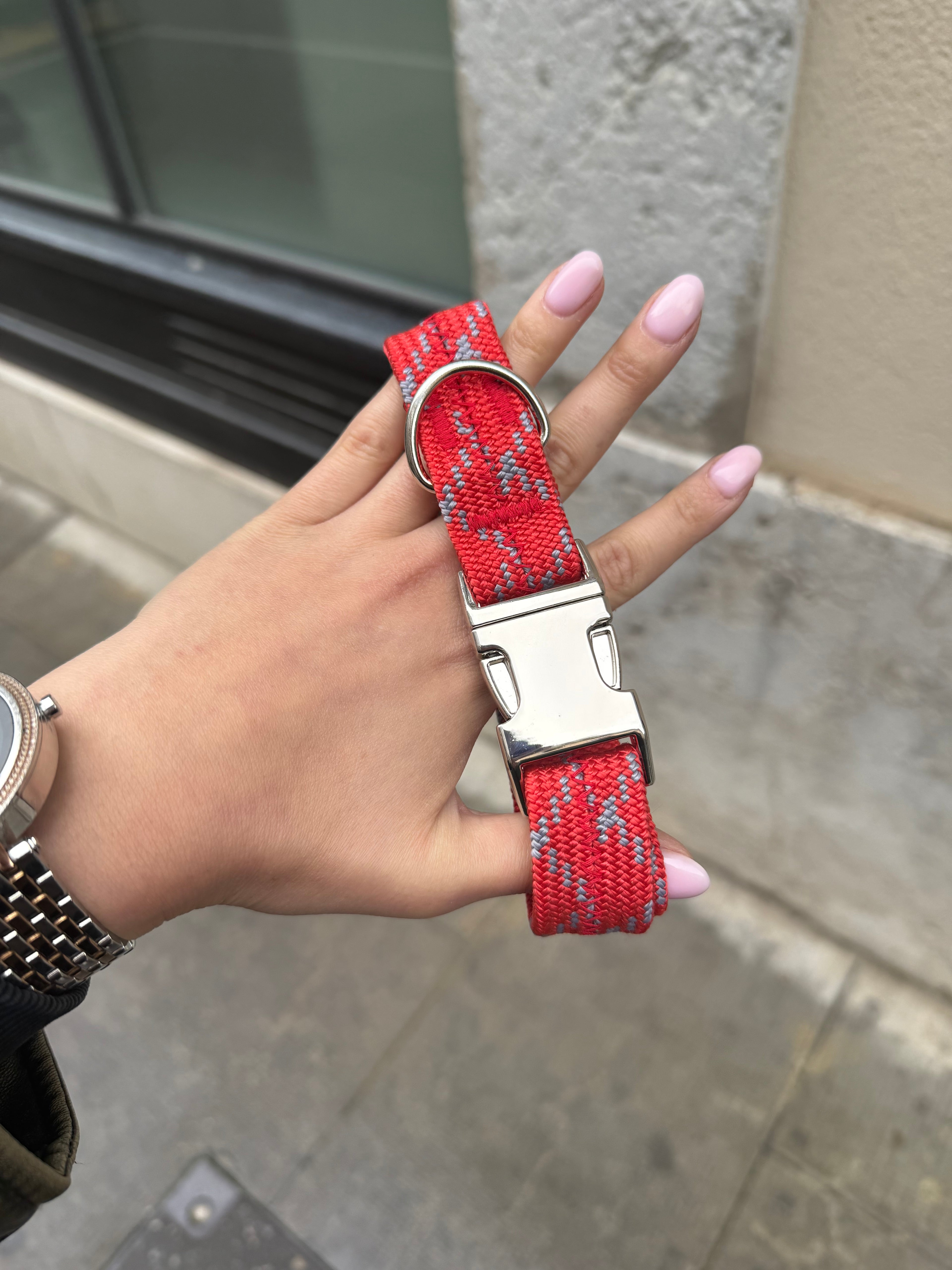Collier pour chien Sunny Red