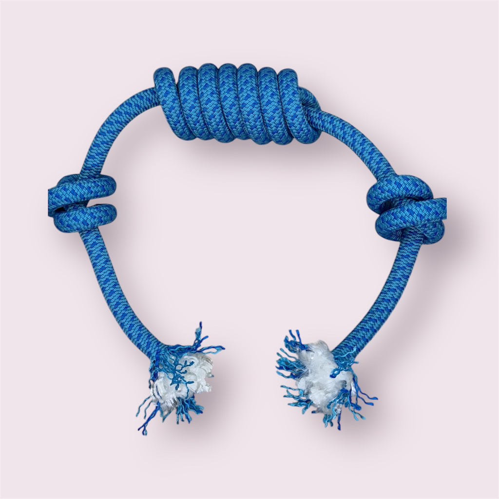 Jouet pour chien Blueberry