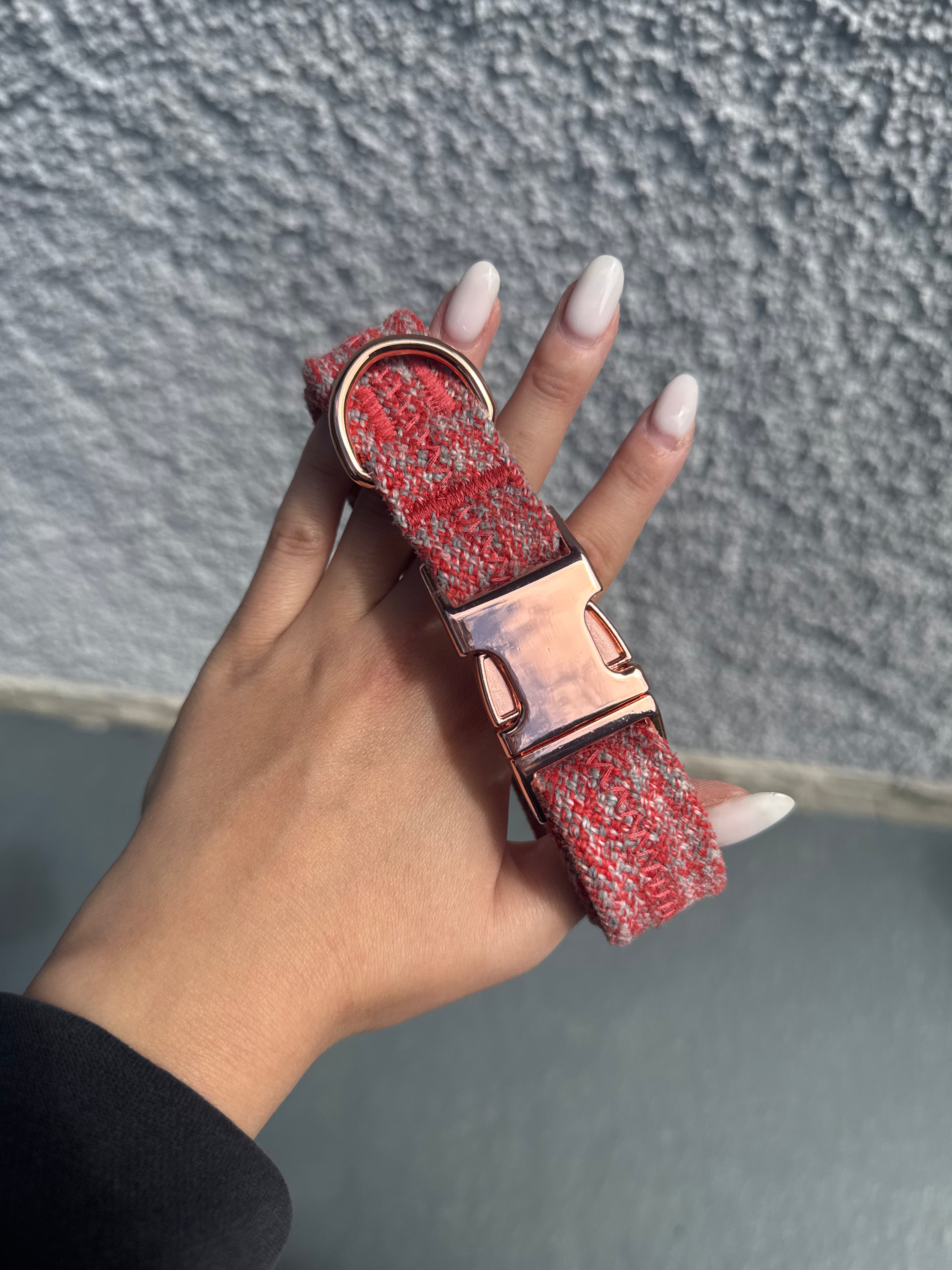Collier pour chien Red Grenat