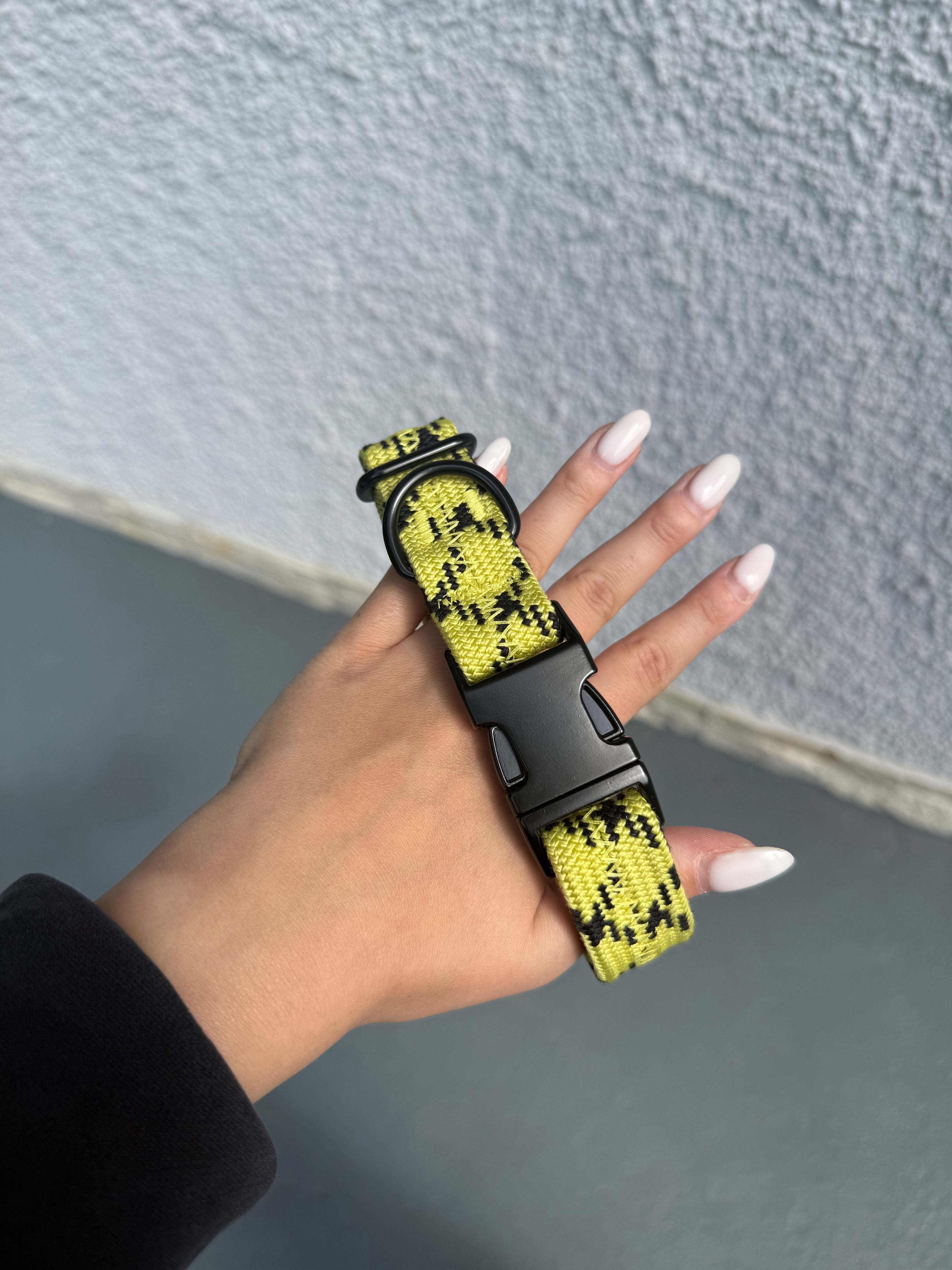 Collier pour chien Sunny Lemon