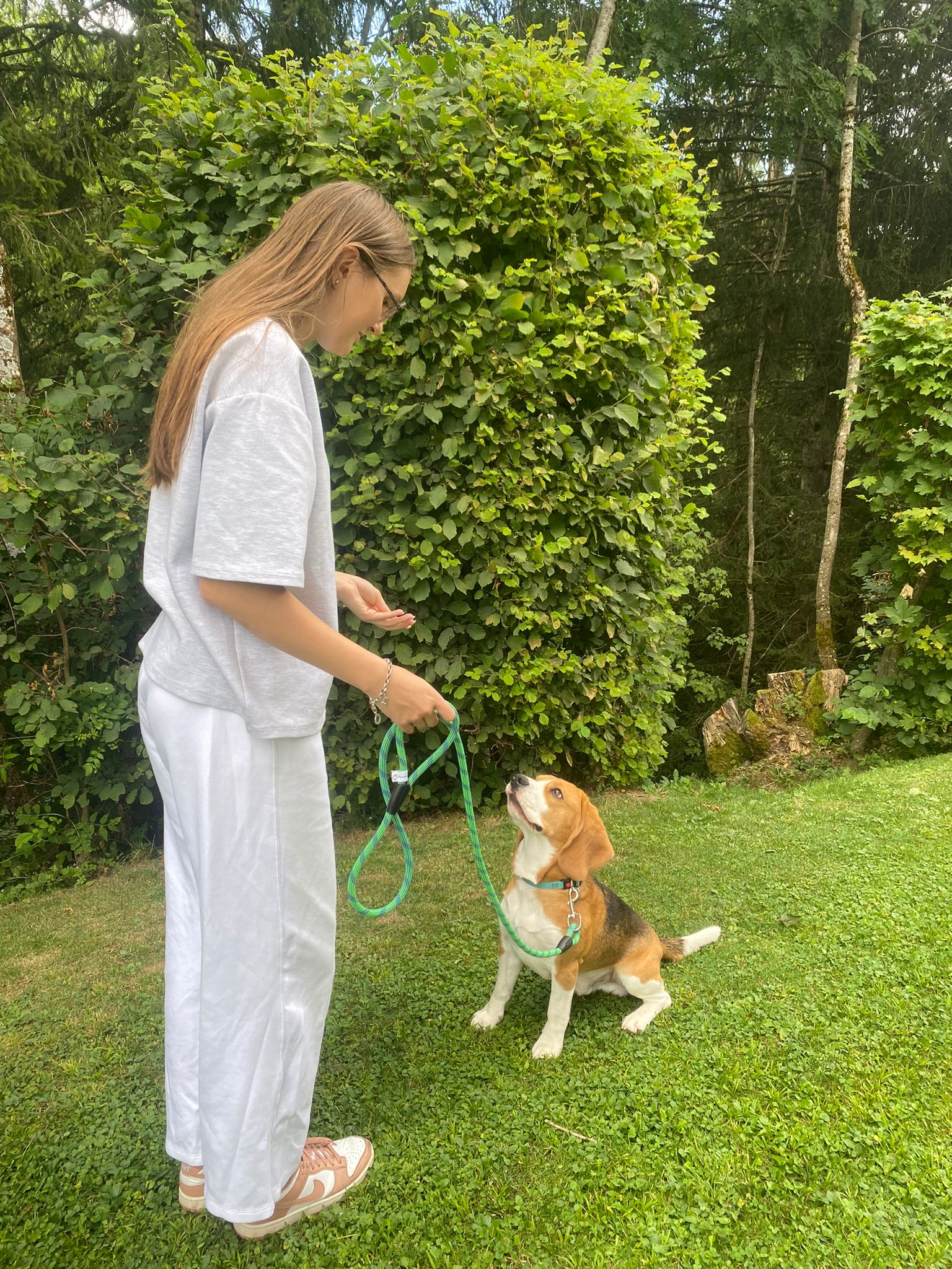 Laisse pour chien LuckyLesse 