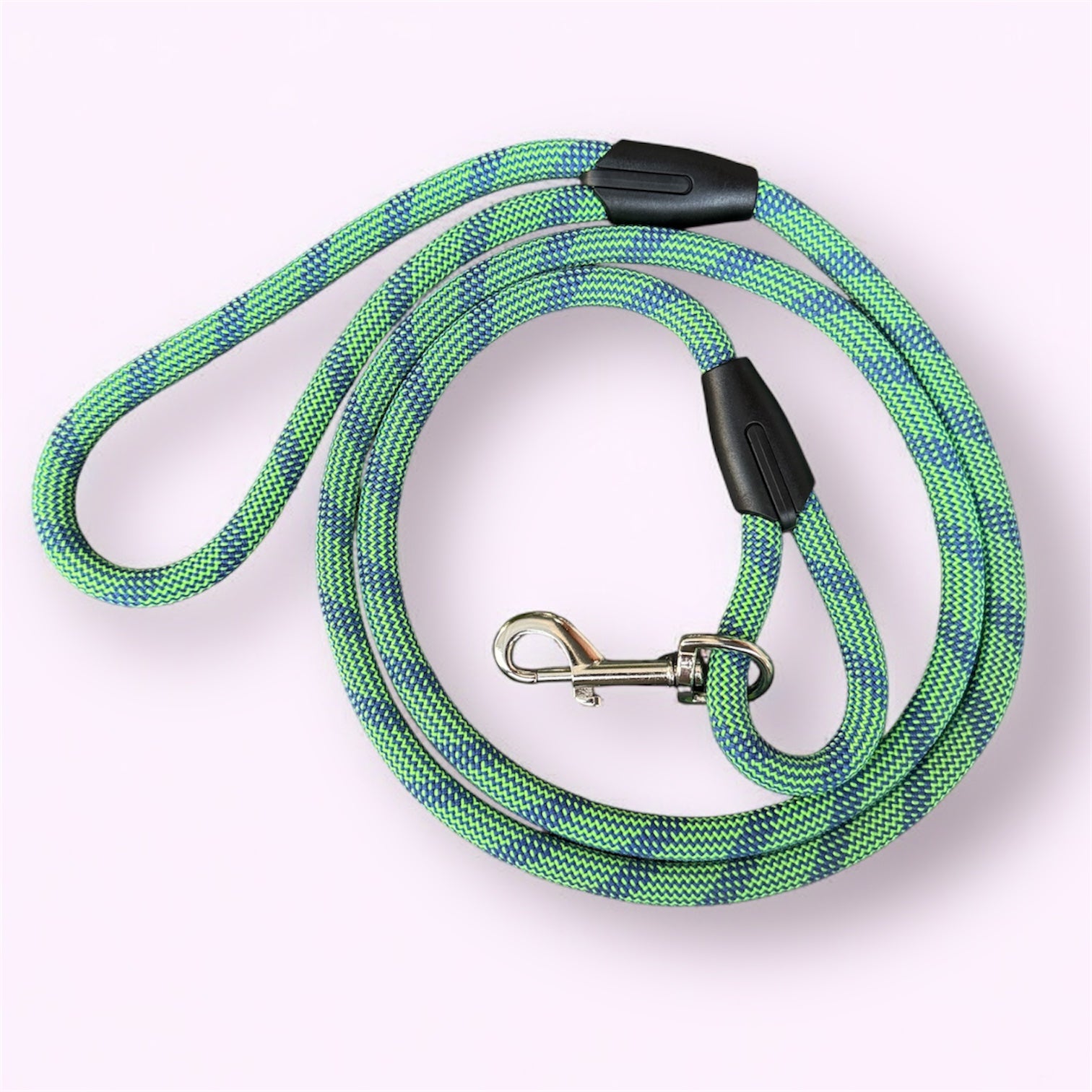 Laisse pour chien laisse simple