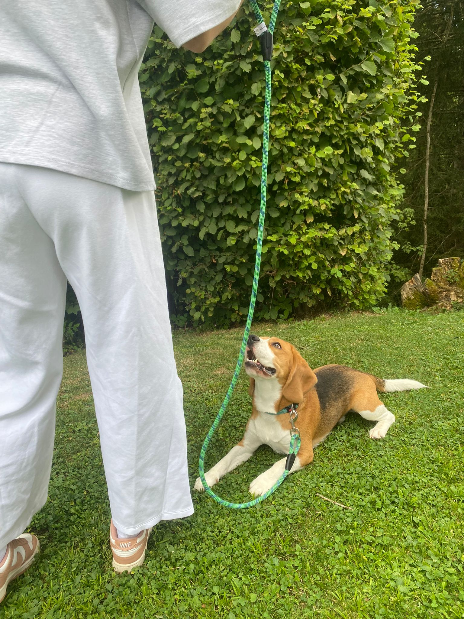 Laisse pour chien LuckyLesse