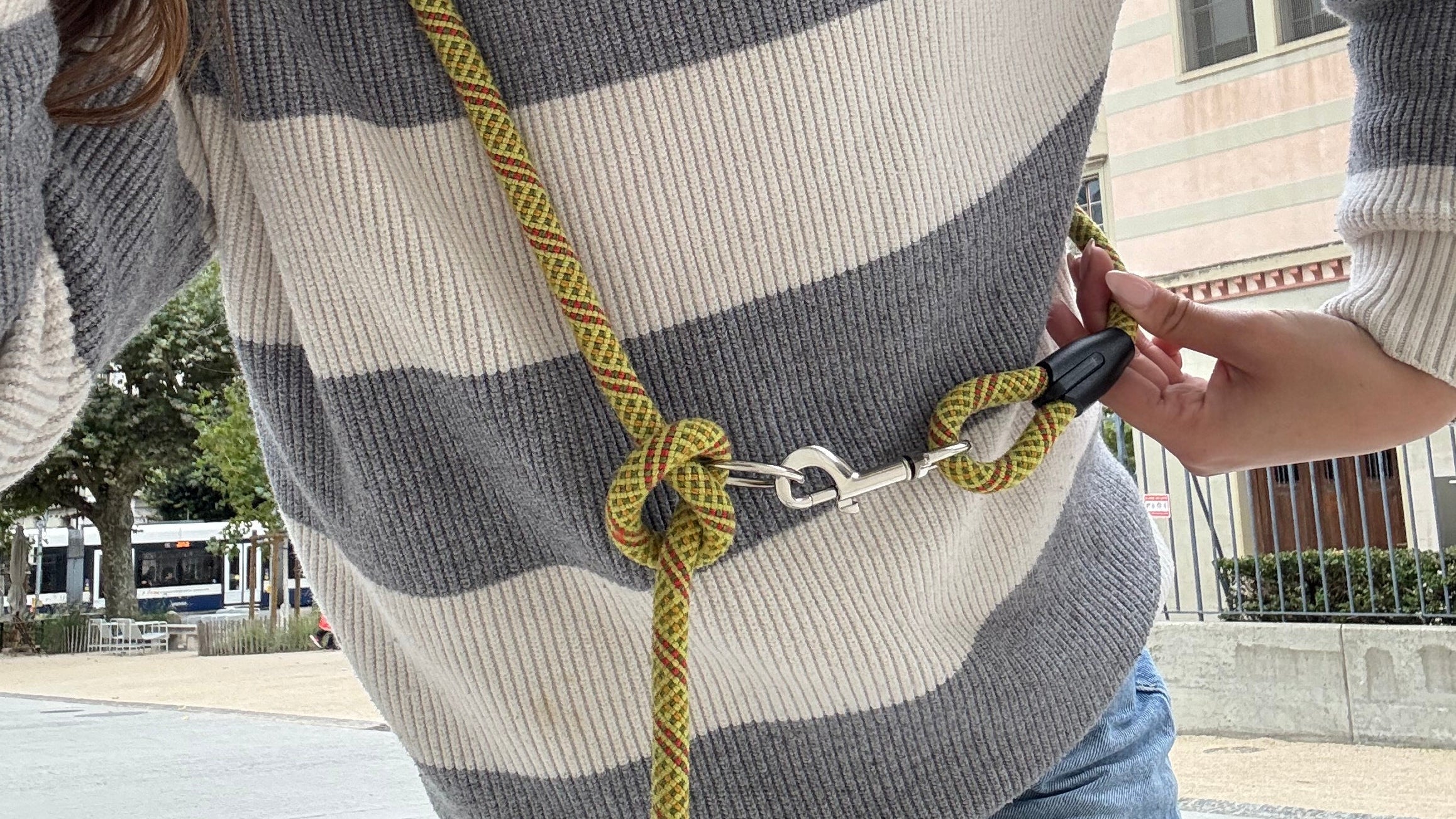 Laisse multipositions chien Citrus