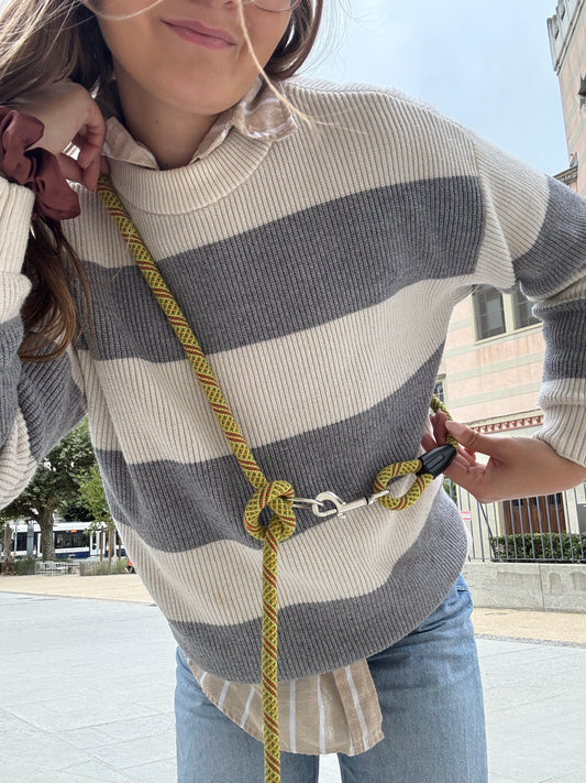 Laisse multipositions chien Citrus