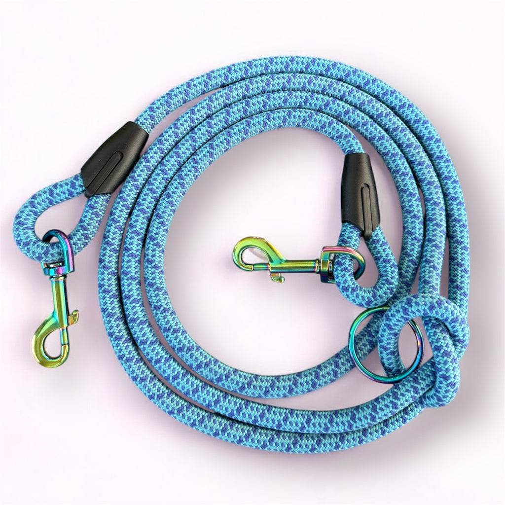 Laisse multipositions pour chien Océan Neo chrome LuckyLesse 