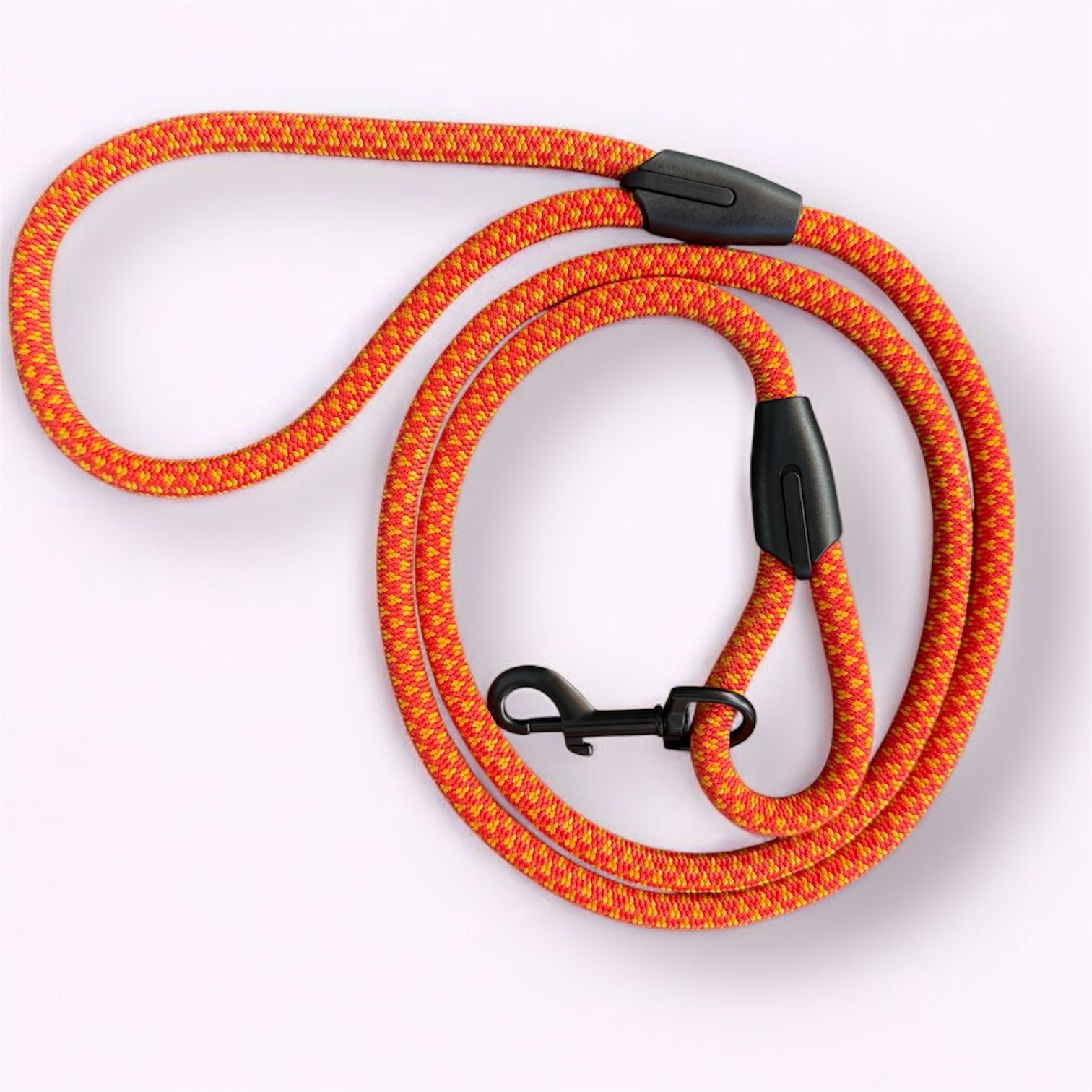 Laisse pour chien Pumkin LuckyLesse