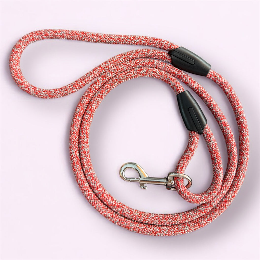 Laisse pour chien Red Grenat Argent LuckyLesse