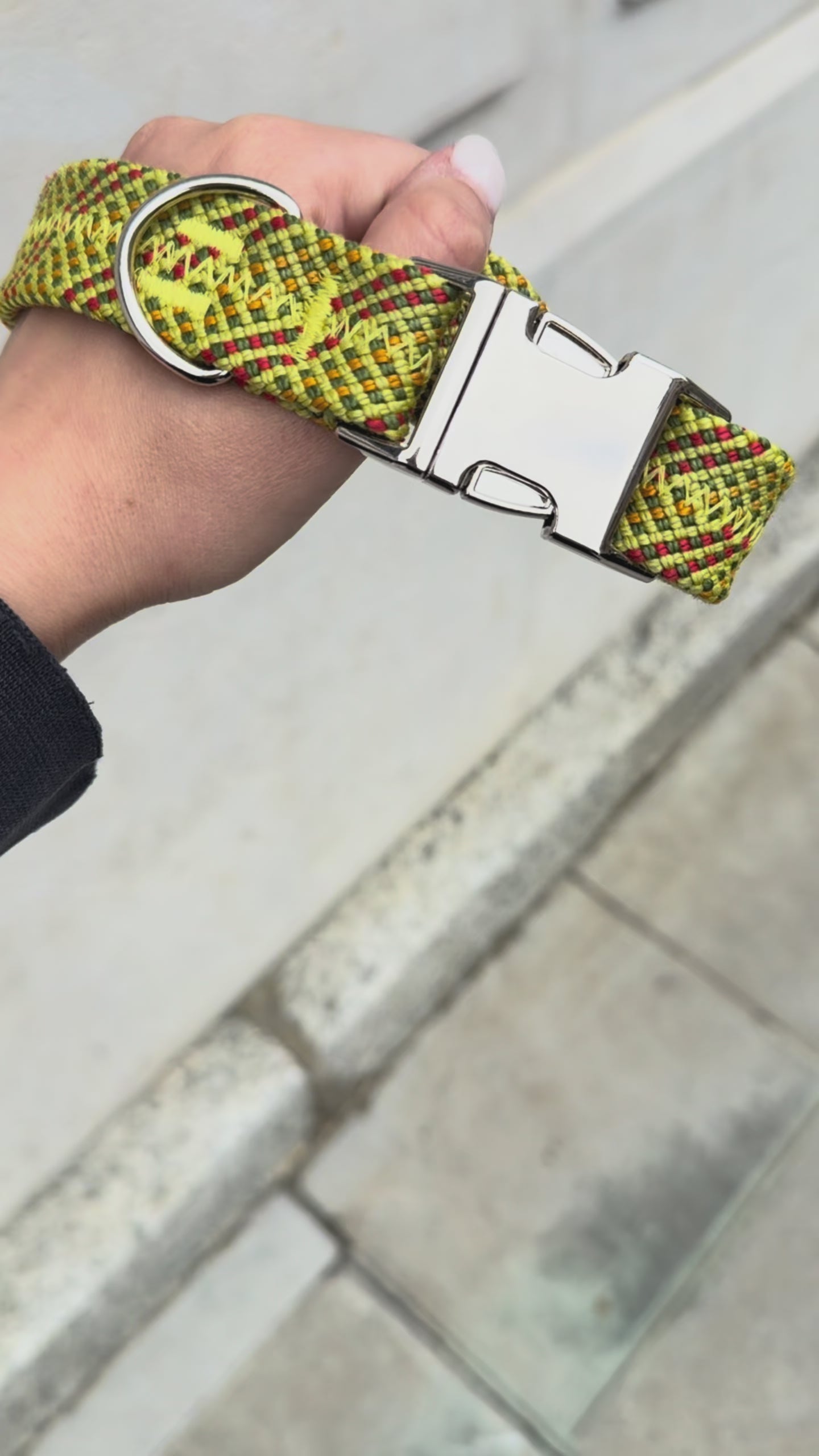 Collier pour chien Citrus 🍋